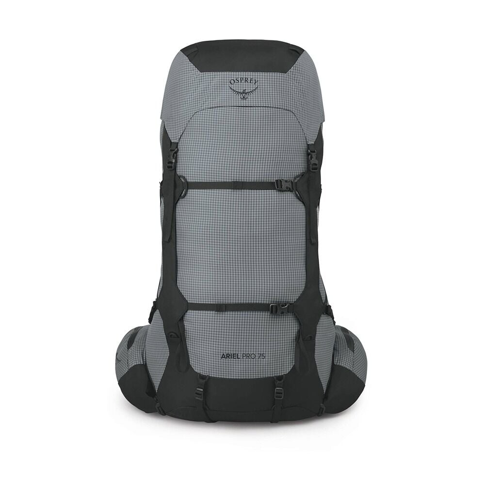 Front view of Ariel pro 75 in silver lining