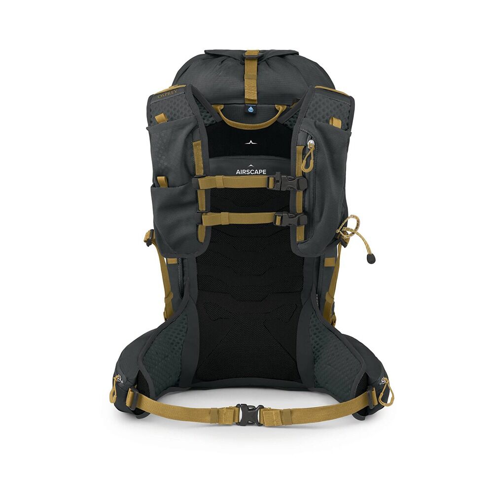 Talon™ Velocity 30
