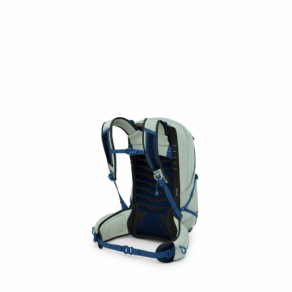 Talon™ 22