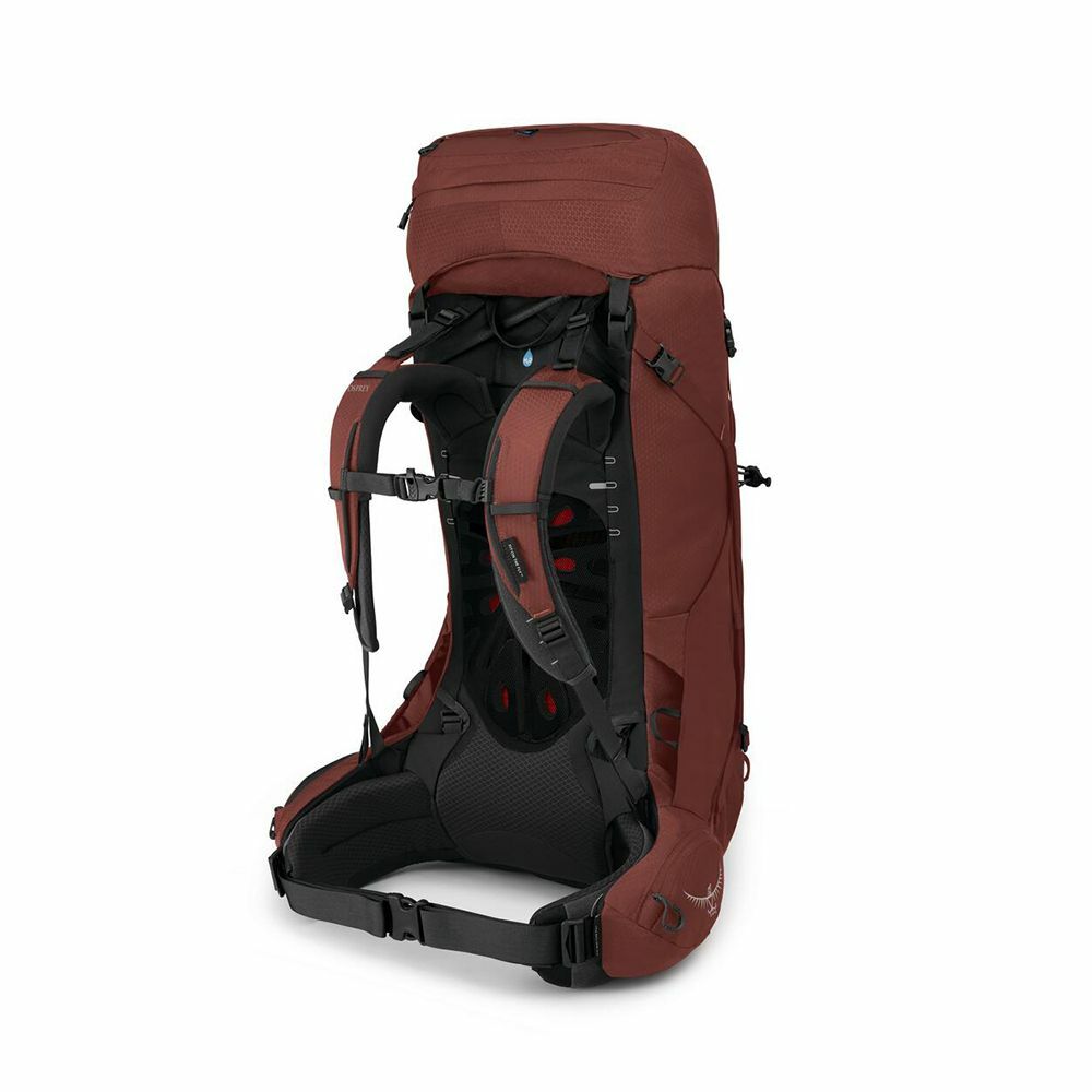 side back view of the AETHER 55 in color Deep Acorn Red