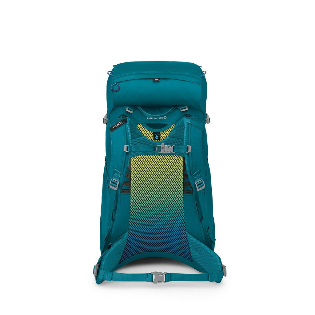 back image of Ace 38 in Blue Smikemoss/Deep Peyto