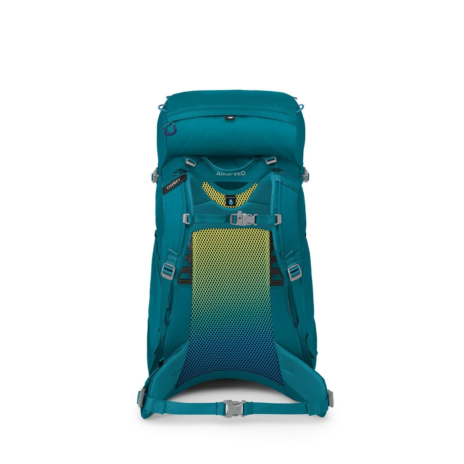 back image of Ace 38 in Blue Smikemoss/Deep Peyto