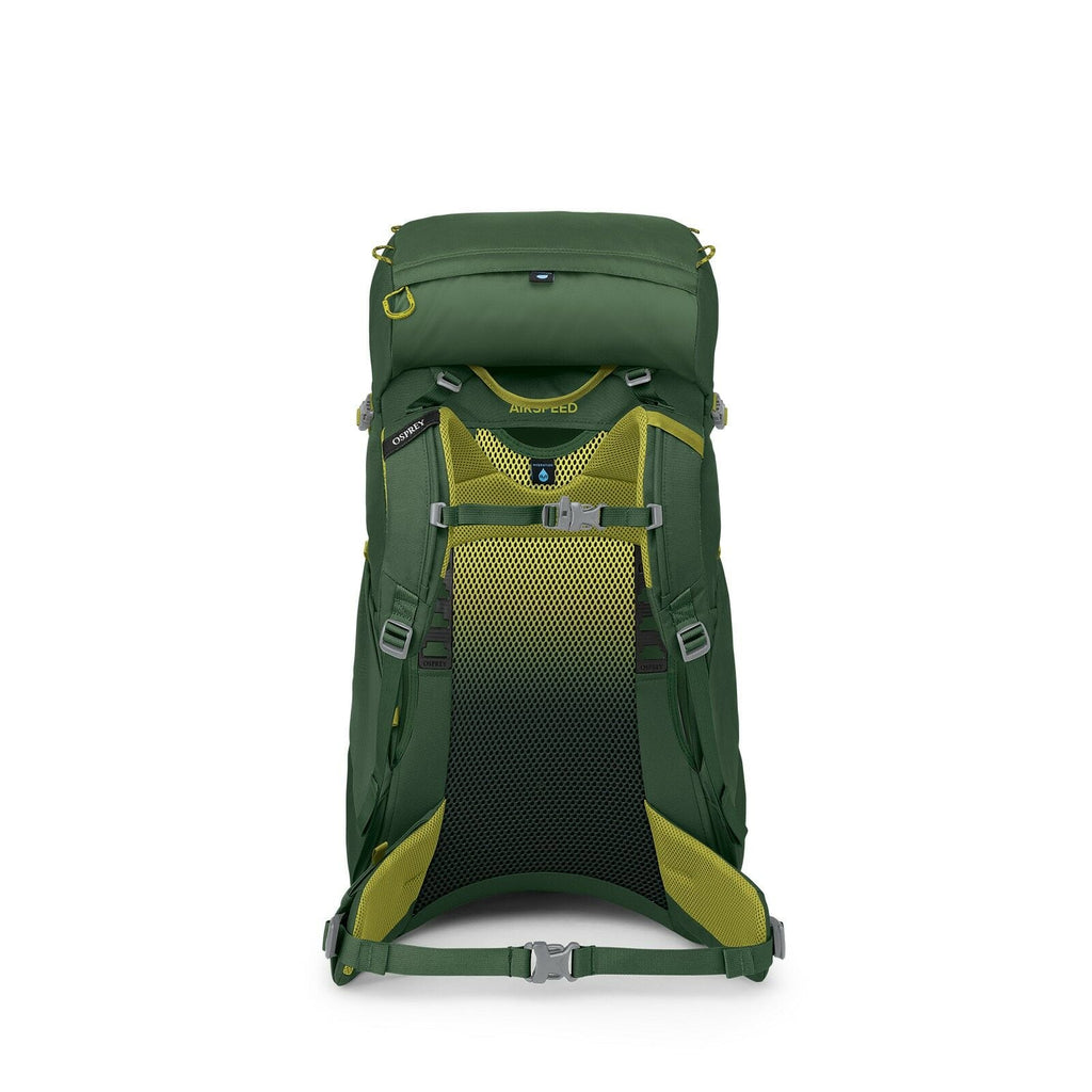 back image of Ace 38 in Green Canopy/Matcha Green