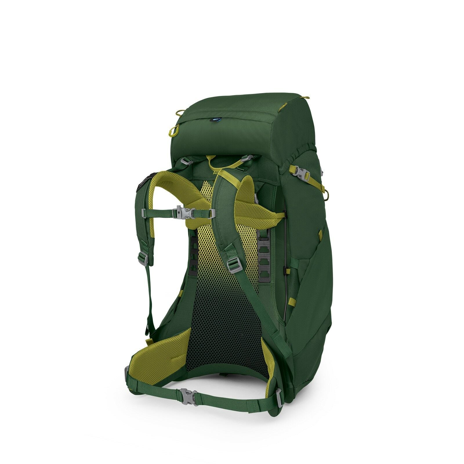 Side back image of Ace 38 in Green Canopy/Matcha Green