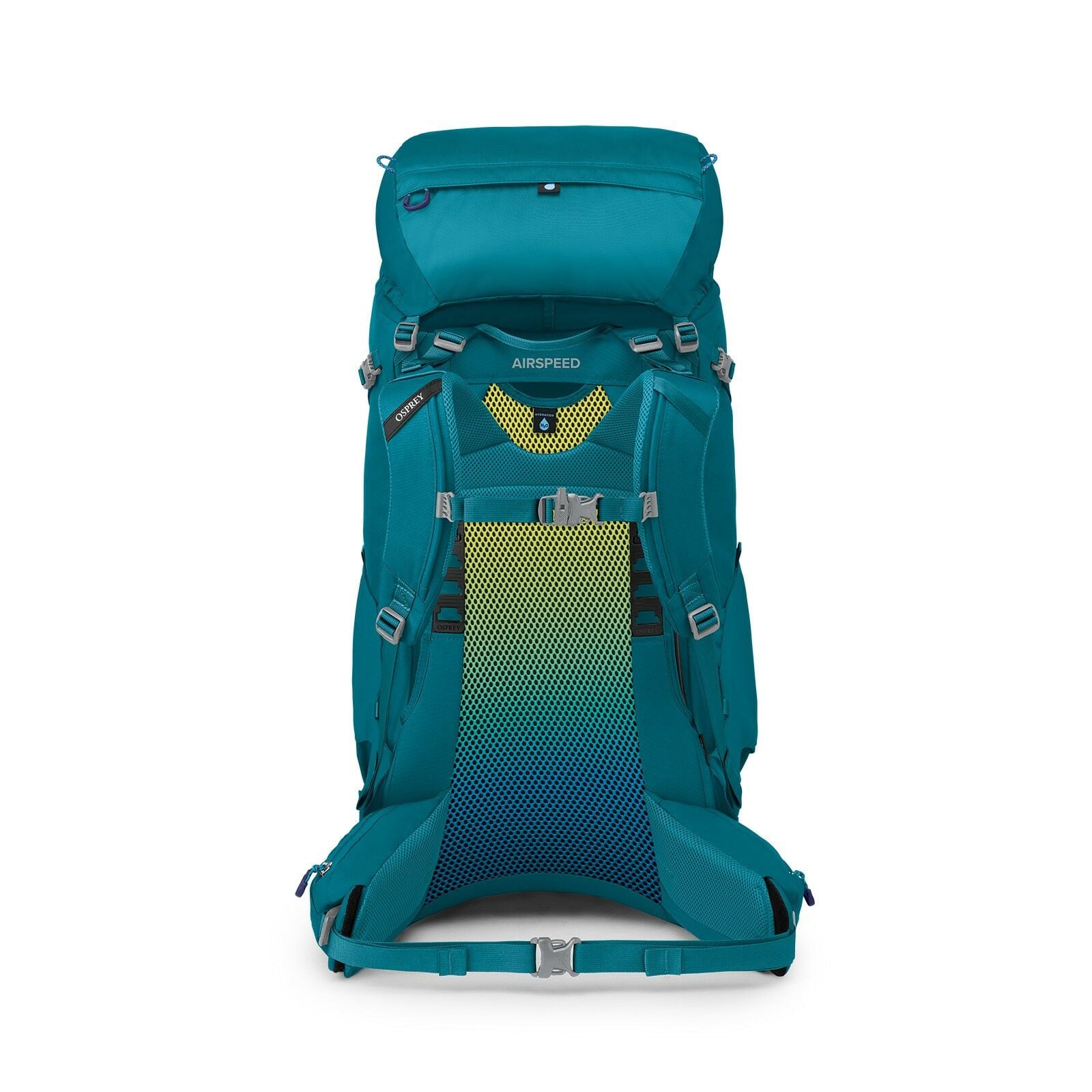 back image of Ace 65 in color Blue Spike Moss / Deep Peyto