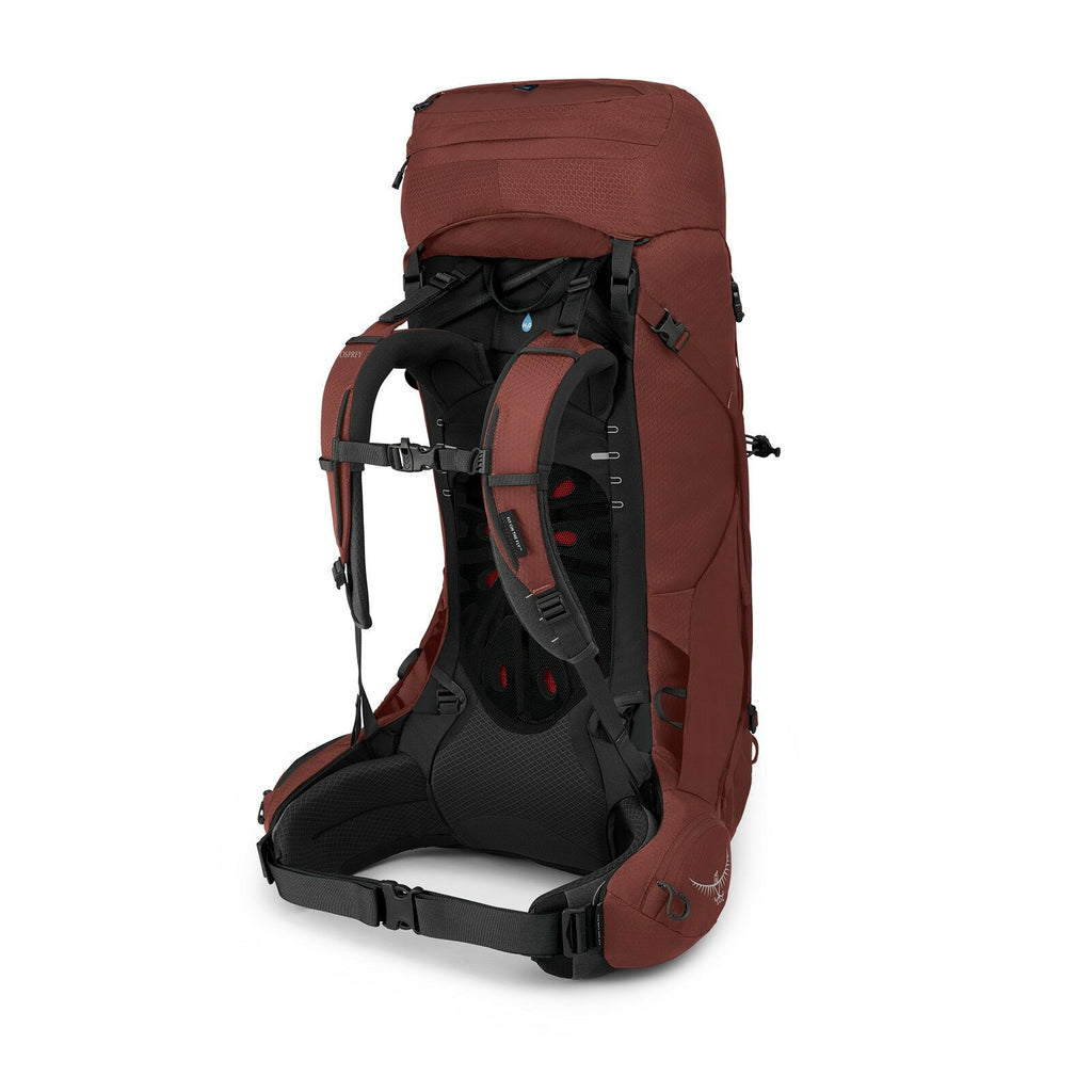 side back view of the AETHER 55 in color Deep Acorn Red