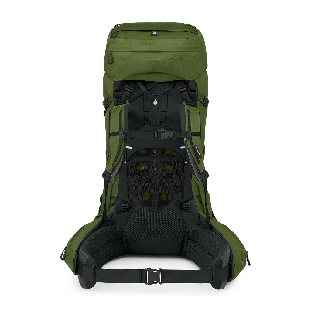 a back view of the Aether™ 65 Extended Fit in color garlicmustardgreen