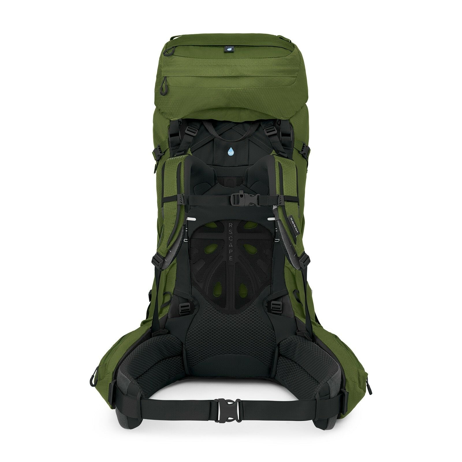 a back view of the Aether™ 65 Extended Fit in color garlicmustardgreen