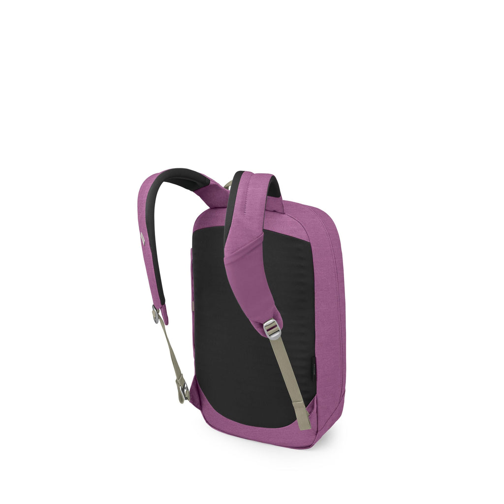 The images show a modern backpack viewed from the back-left angle. It has a purple exterior with a black padded back panel and olive-green adjustment straps with metal buckles.