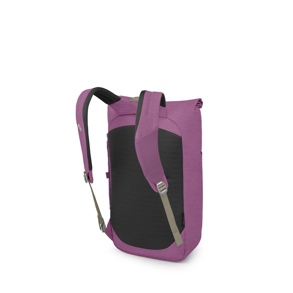The images show a modern backpack photographed from a rear three-quarter view. It features a roll-top closure, padded black back panel, and adjustable shoulder straps with light gray webbing and buckles. The primary color changes from a magenta tone to a