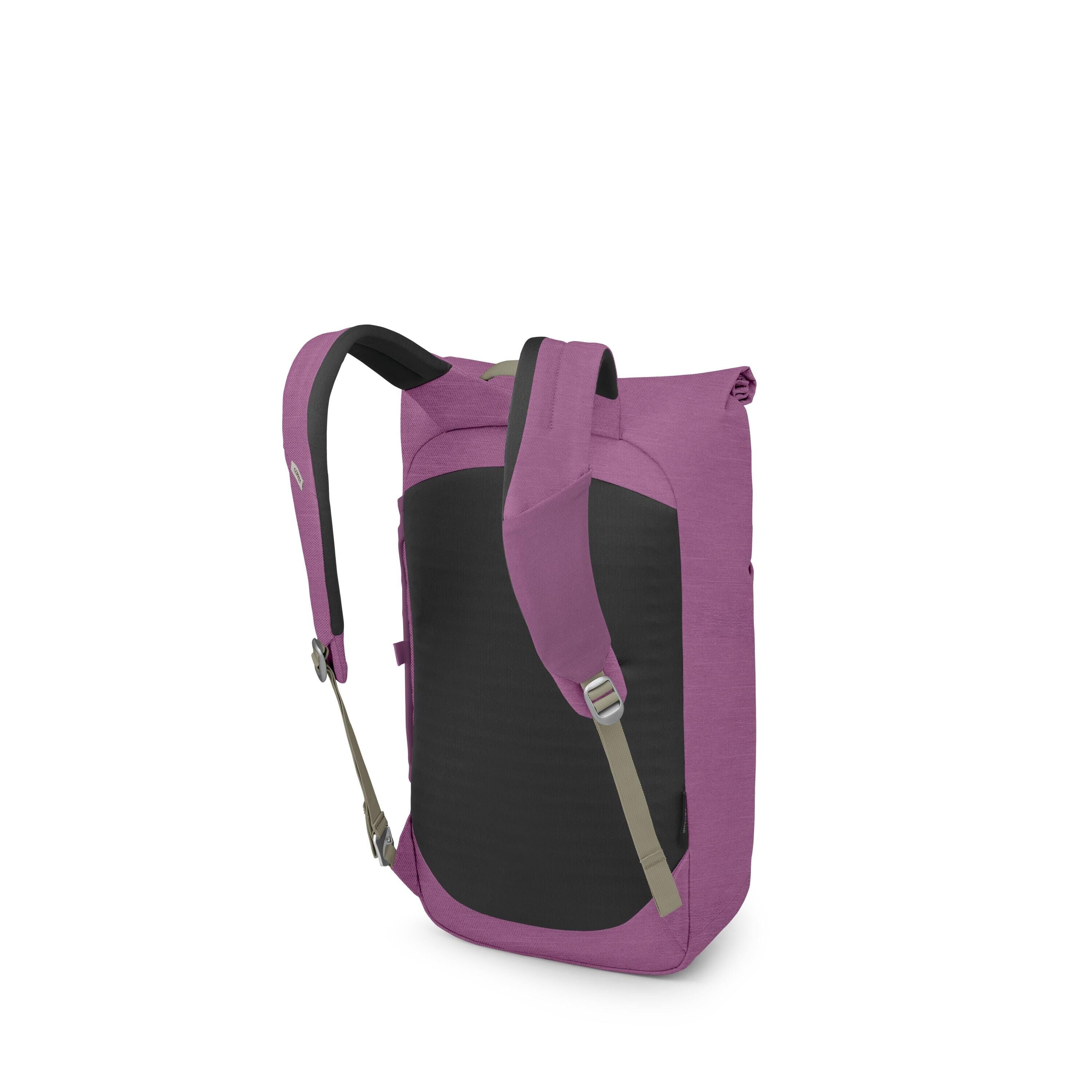 The images show a modern backpack photographed from a rear three-quarter view. It features a roll-top closure, padded black back panel, and adjustable shoulder straps with light gray webbing and buckles. The primary color changes from a magenta tone to a