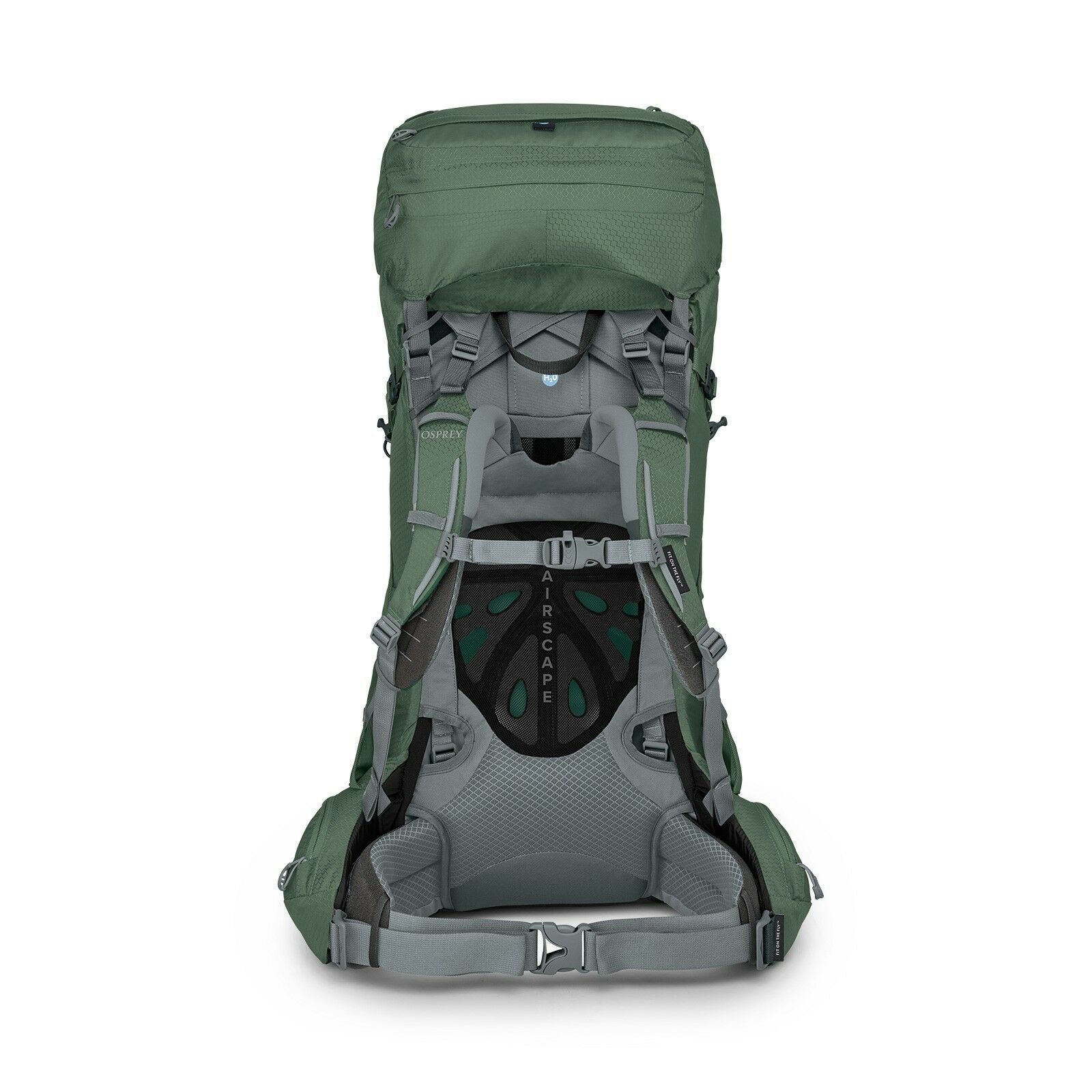 back view of the ARIEL 55 in color Koseret Green