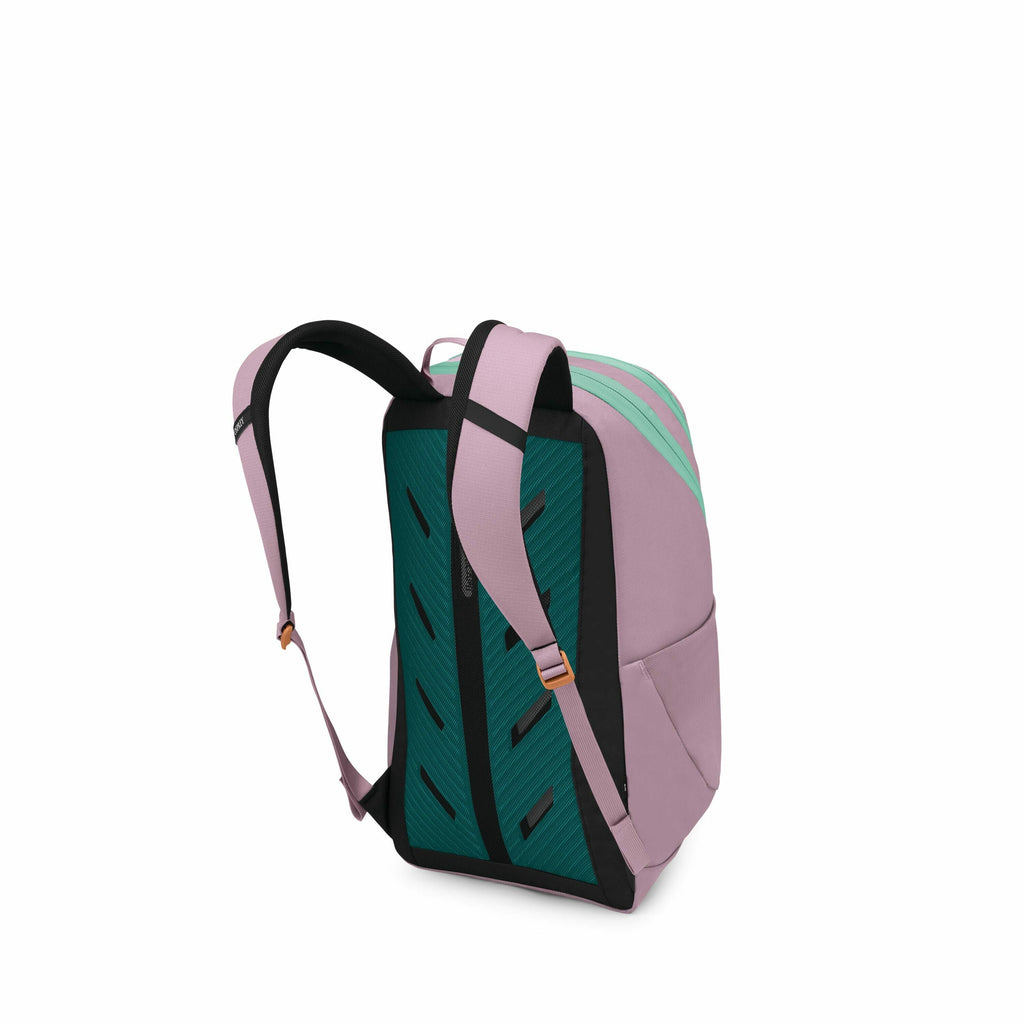 The image depicts a backpack with a modern design, featuring a combination of purple and green colors. The main body of the backpack is purple, while the zipper accents are in a contrasting bright green. The back panel has a distinct dark green and black