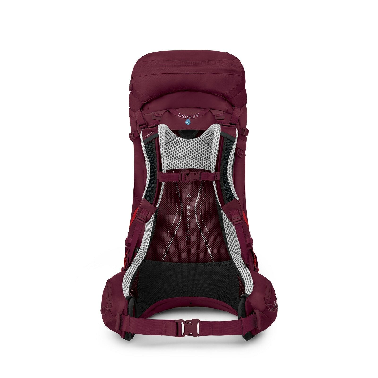 a back view of the AURA AG LT 50 in color Antidote Purple