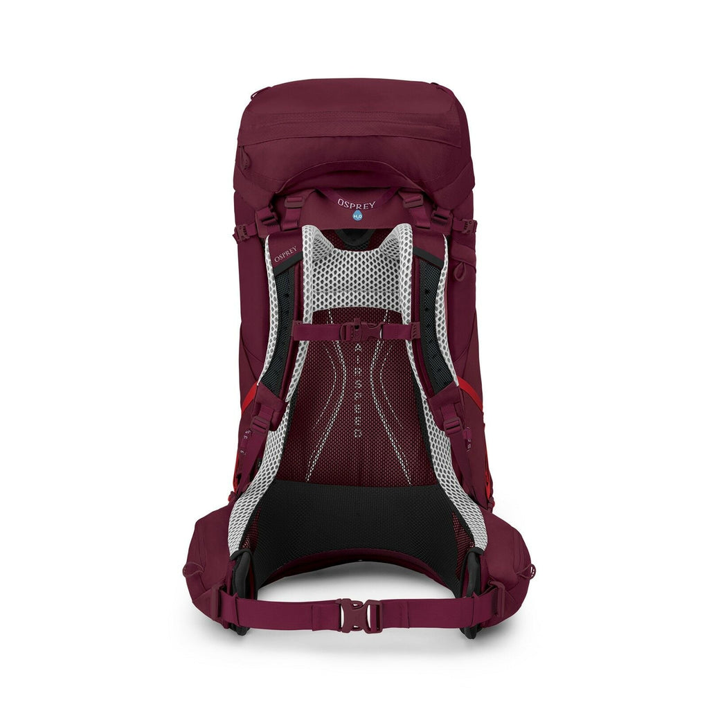 a back view of the AURA AG LT 65  in color Antidote Purple