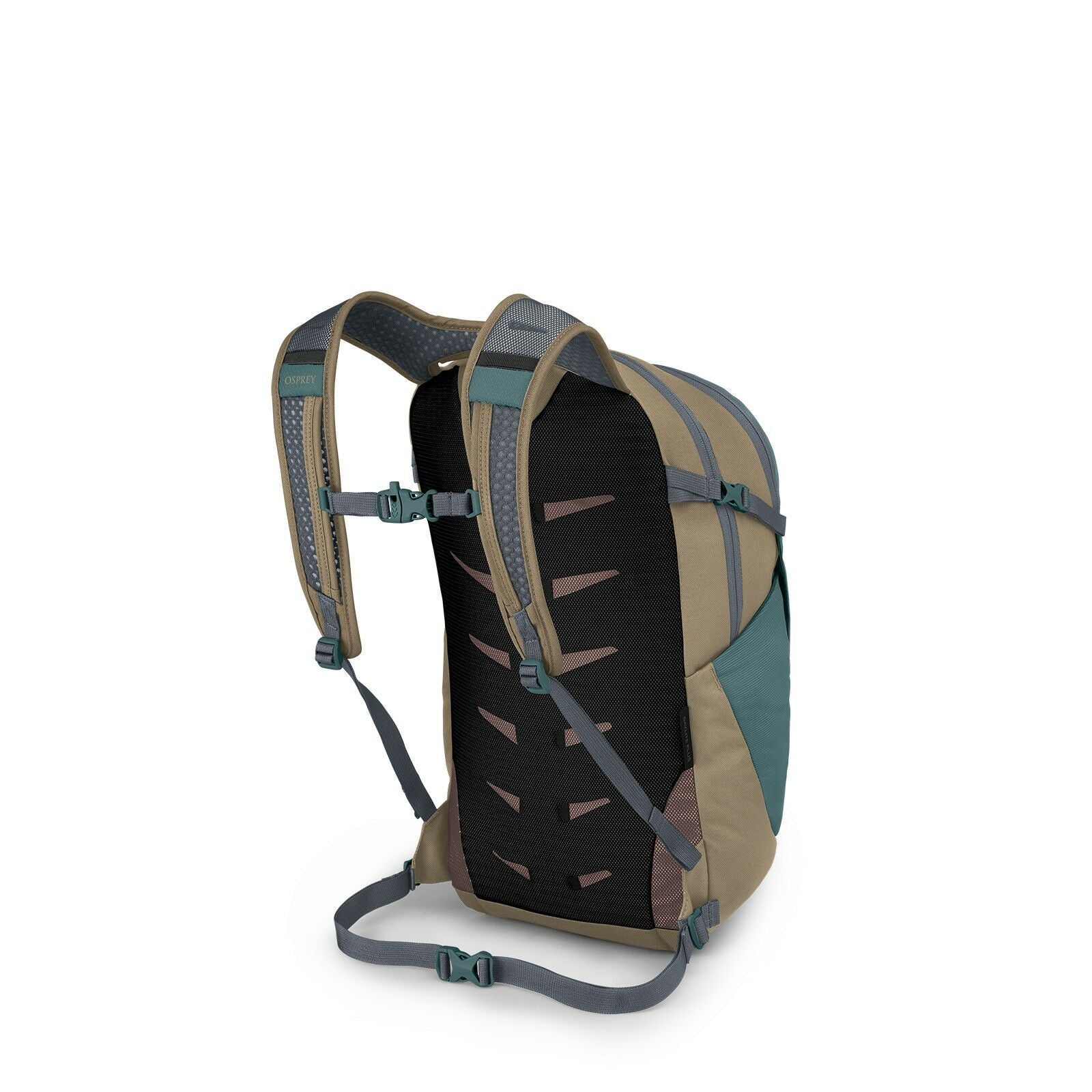 Side back image of the Daylite Plus in the color Cascade Blue/Latte Brown