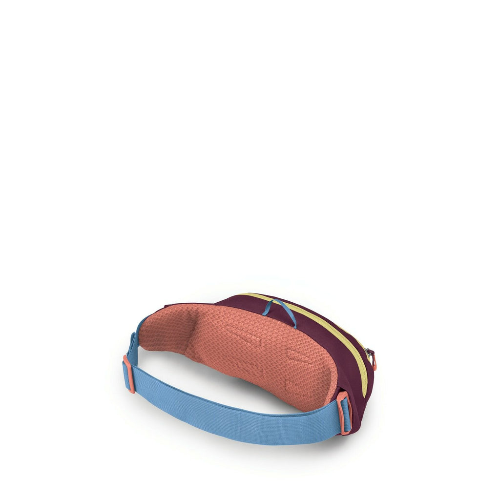 The images depict various components and views of a backpack's harness system. The harness consists of a padded back panel, shoulder straps, and a waist belt, each featuring a combination of colors including burgundy, coral, and light blue. The back panel