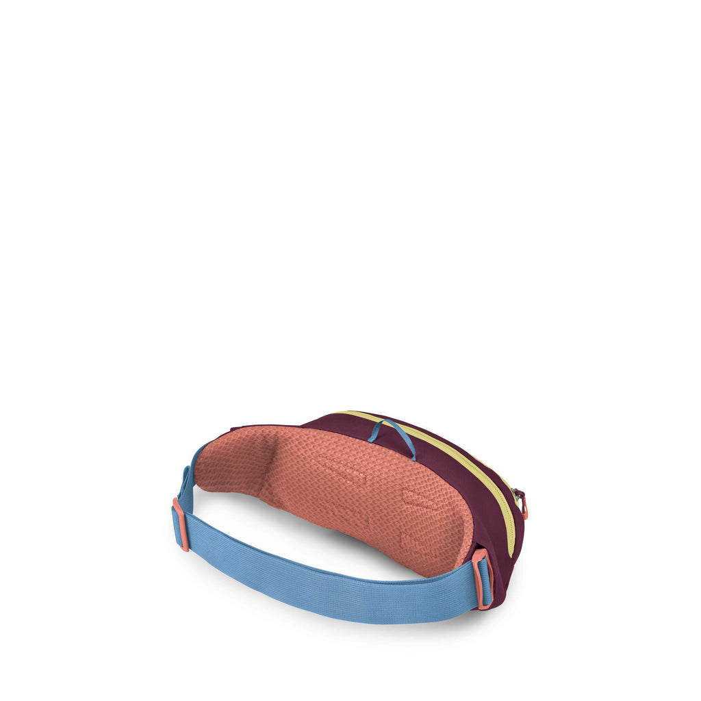 Daylite™ Waist