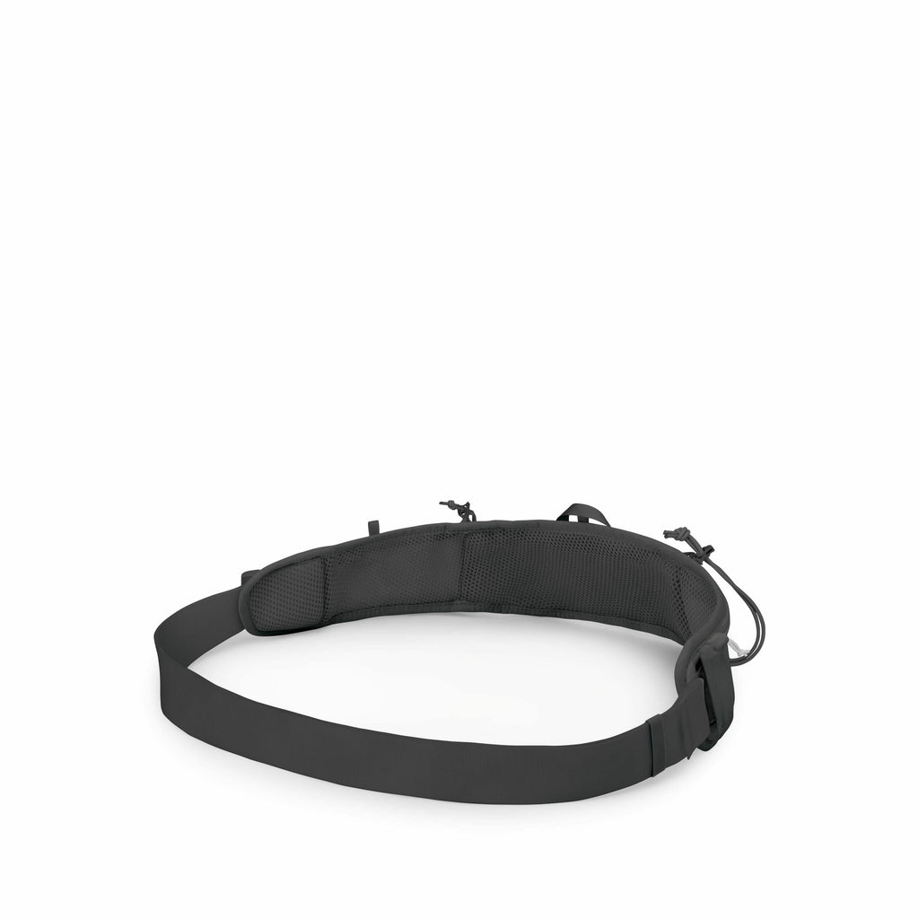 The image shows a dark-colored, padded belt that appears to be a waist strap, possibly designed for outdoor activities or attaching accessories. The belt features a large buckle and has multiple loops for attaching gear, such as carabiners or other access
