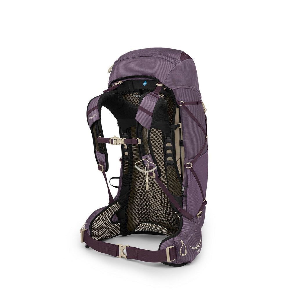 Side back image of the Eja 38 in the color Purple Dusk