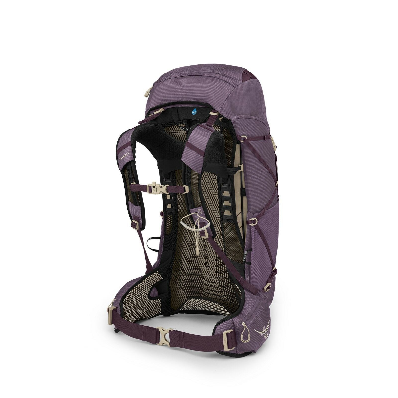 Side back image of the Eja 38 in the color Purple Dusk