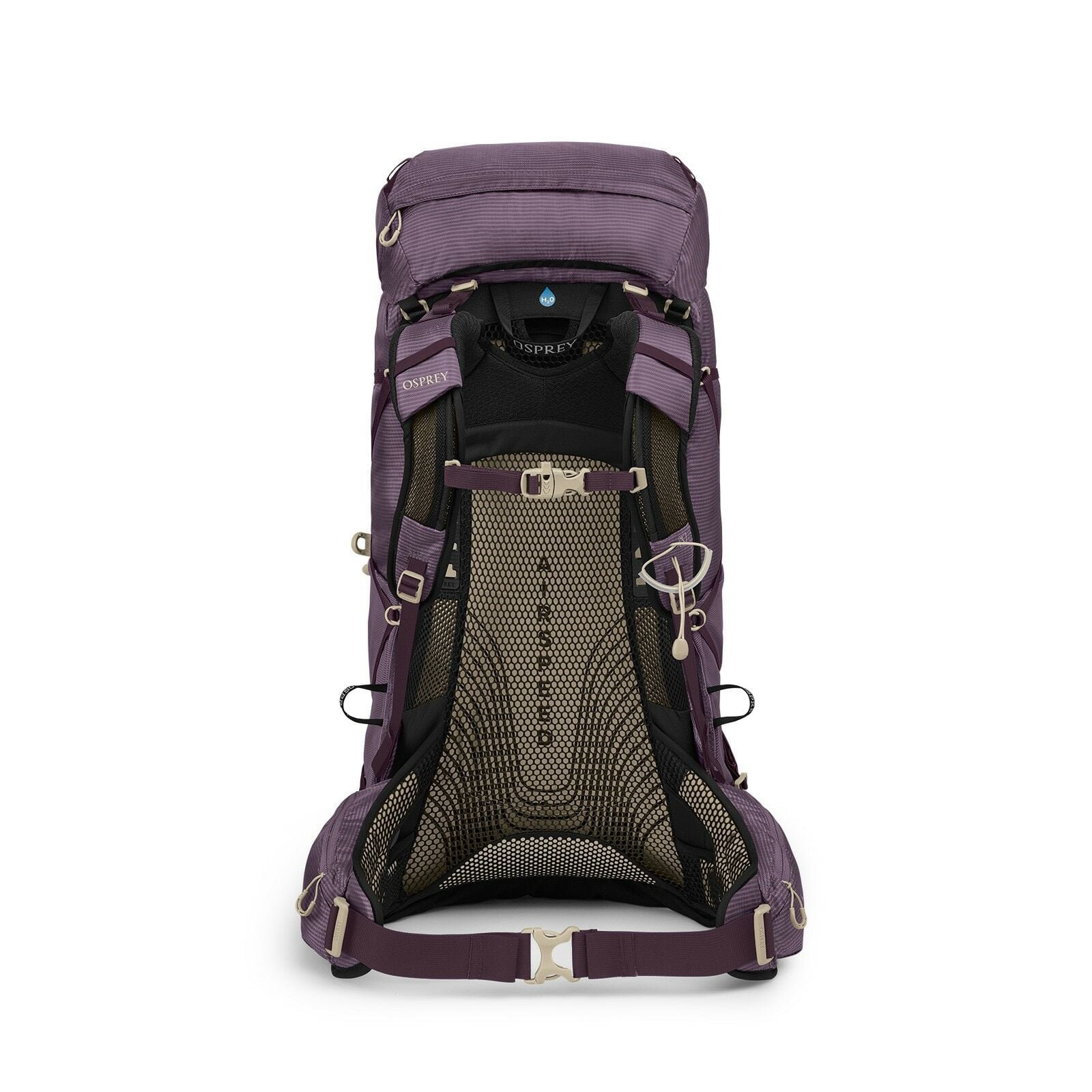 back image of the Eja 48 in the color Purple Dusk