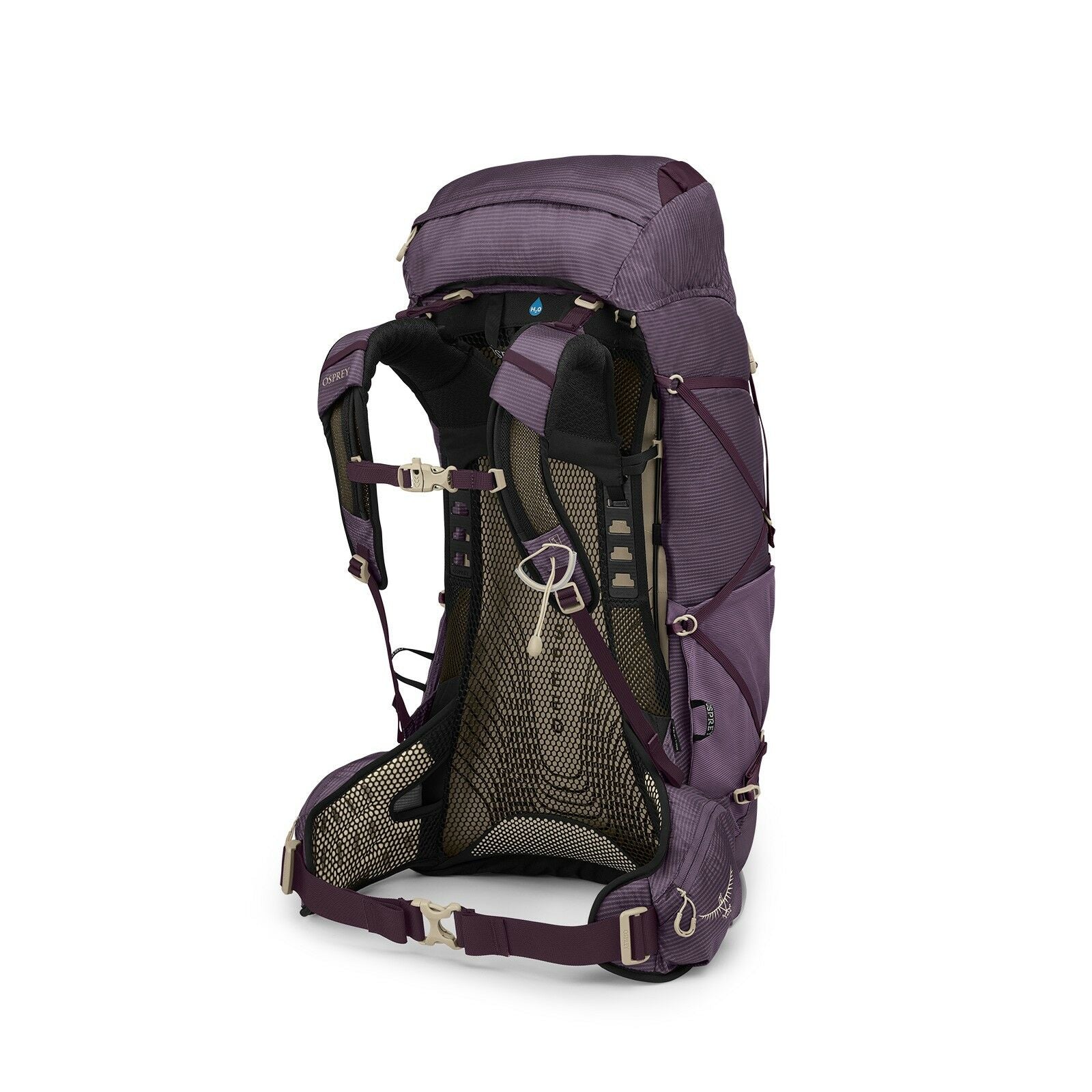 Side back image of the Eja 48 in the color Purple Dusk