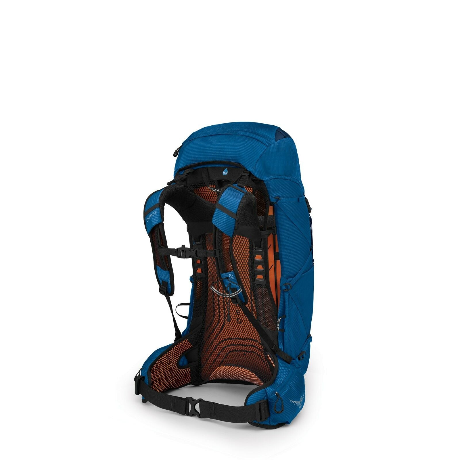 a 4/5 view of the EXOS 38 in color blueribbon