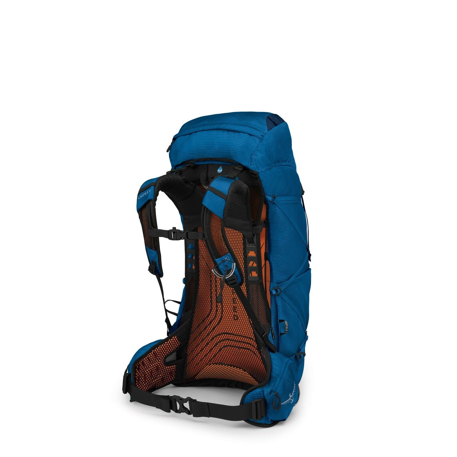 a 4/5 view of the EXOS 48 in color blueribbon