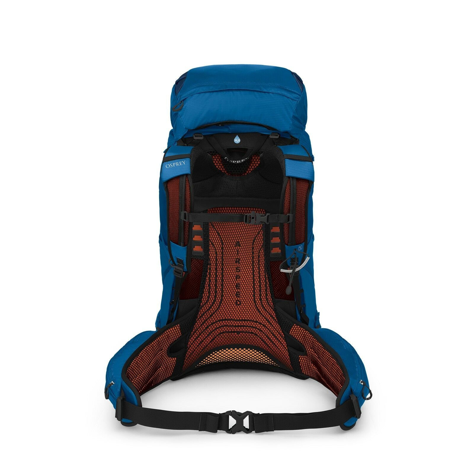 back image of the EXOS 58 Extended Fit in color Blue Ribbon