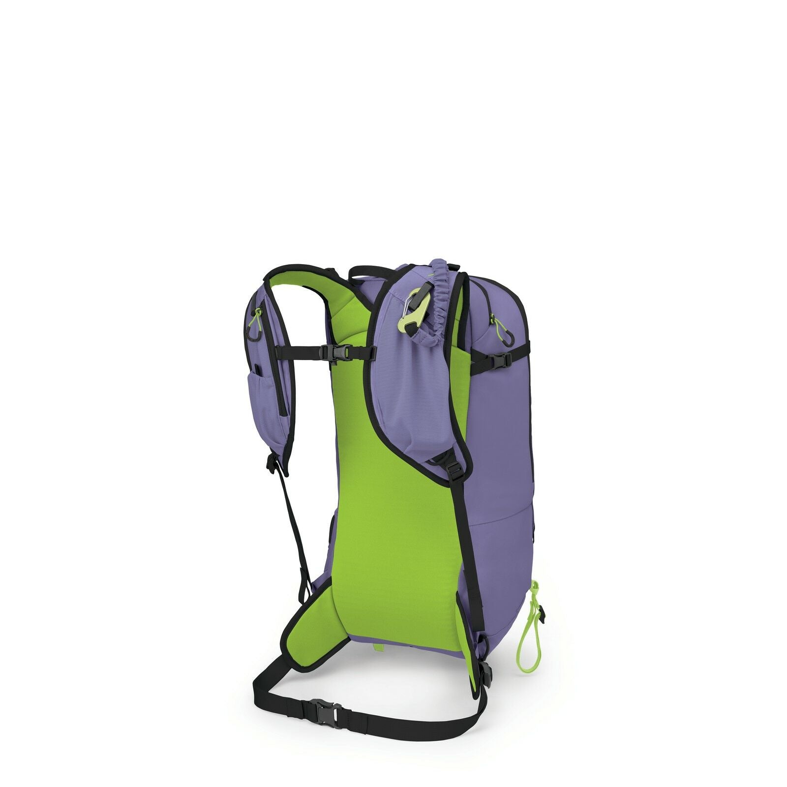 The image features a backpack with a distinct design, primarily colored in light purple and green. The front panel of the backpack is purple, while the back and straps are a vibrant green. It includes several adjustable black straps and buckles, providing