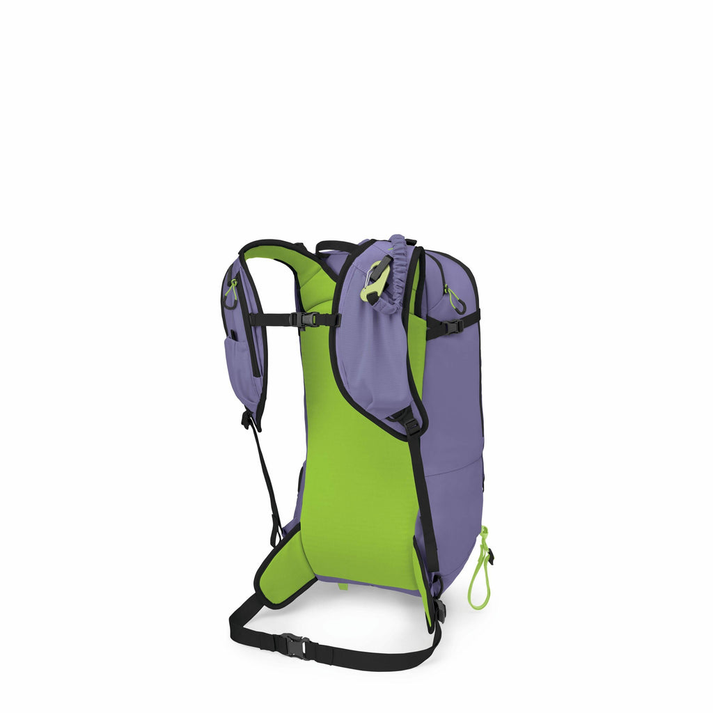 The image features a backpack with a distinct design, primarily colored in light purple and green. The front panel of the backpack is purple, while the back and straps are a vibrant green. It includes several adjustable black straps and buckles, providing