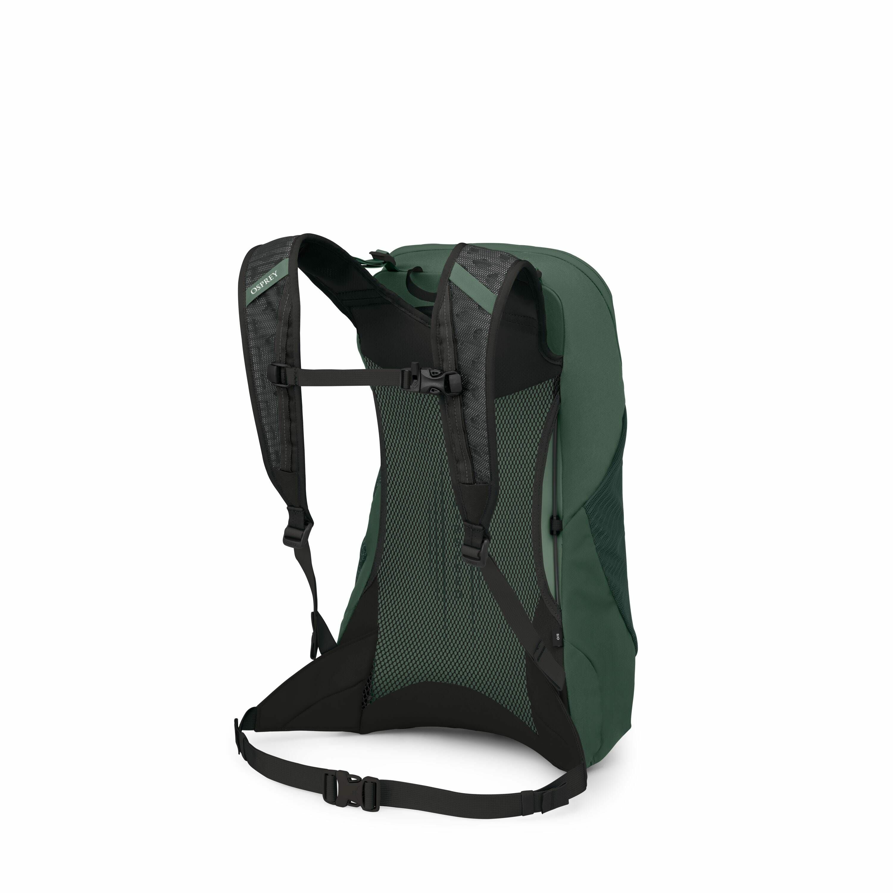 The image showcases a green backpack viewed from the back. The design features black adjustable shoulder straps and a sternum strap for added support and comfort. Notably, the backpack includes a mesh back panel for improved ventilation. The color of the