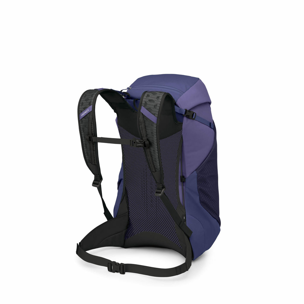 The image shows a blue and purple backpack from the rear view, designed for hiking or outdoor activities. The backpack features padded shoulder straps with a chest strap for better weight distribution and comfort. The back panel is made of a mesh material