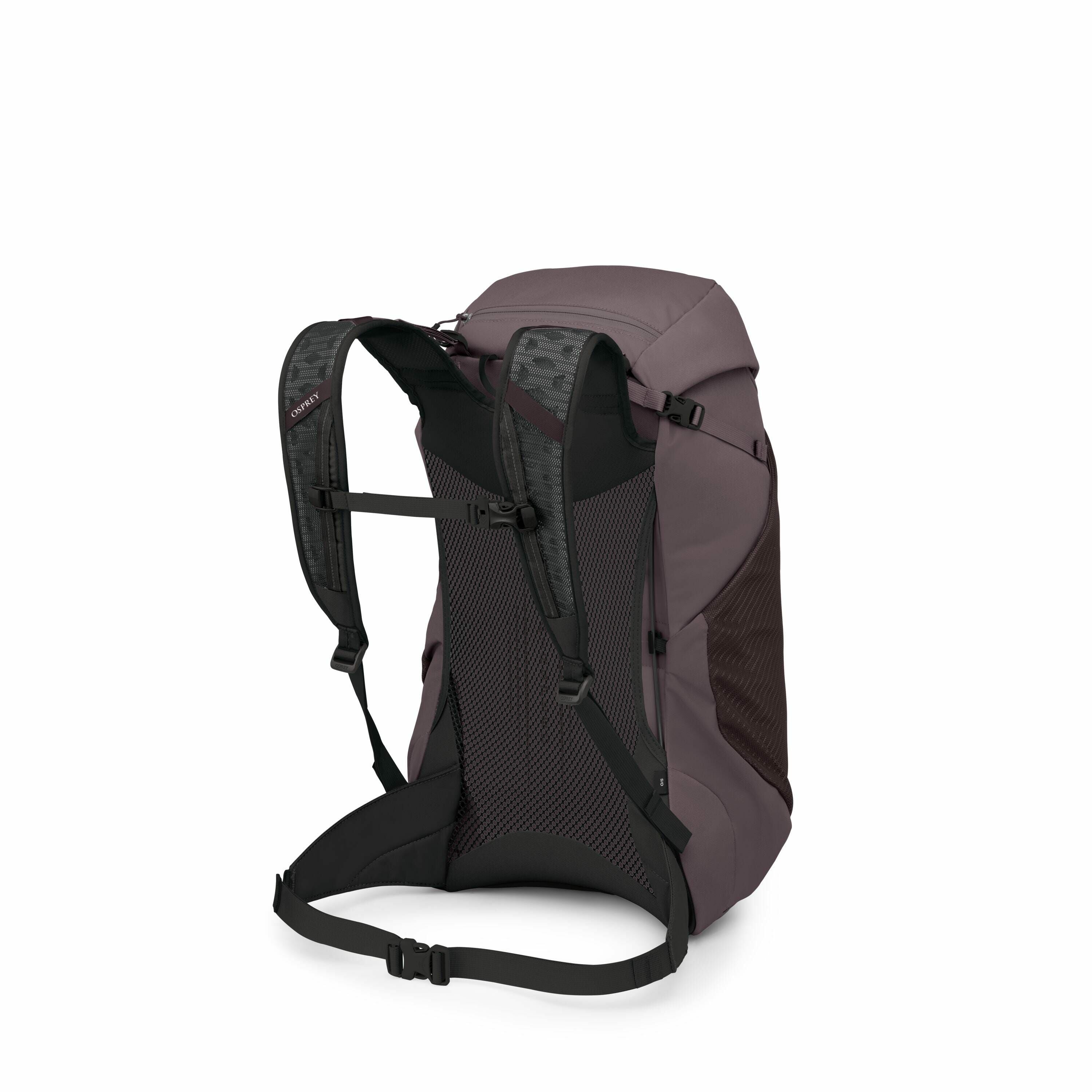 The image shows a purple backpack with black straps and mesh back padding. The backpack is standing upright and angled slightly to the right, displaying its shoulder straps and waist belt. The shoulder straps feature a dark camouflage pattern and are conn