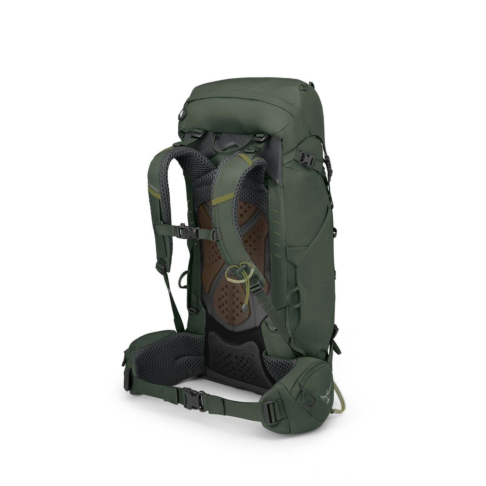 a 4/5 view of the Kestrel™ 38 in color bonsaigreen