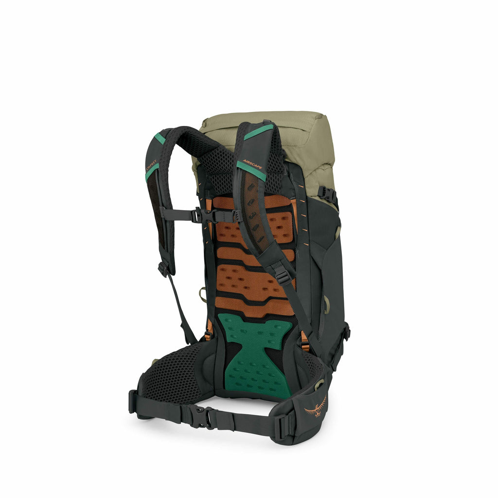 The image shows a hiking backpack designed for outdoor activities. The backpack features a well-padded back panel in brown and green colors with a mesh overlay for ventilation and comfort. It has adjustable shoulder straps with some padding and green acce