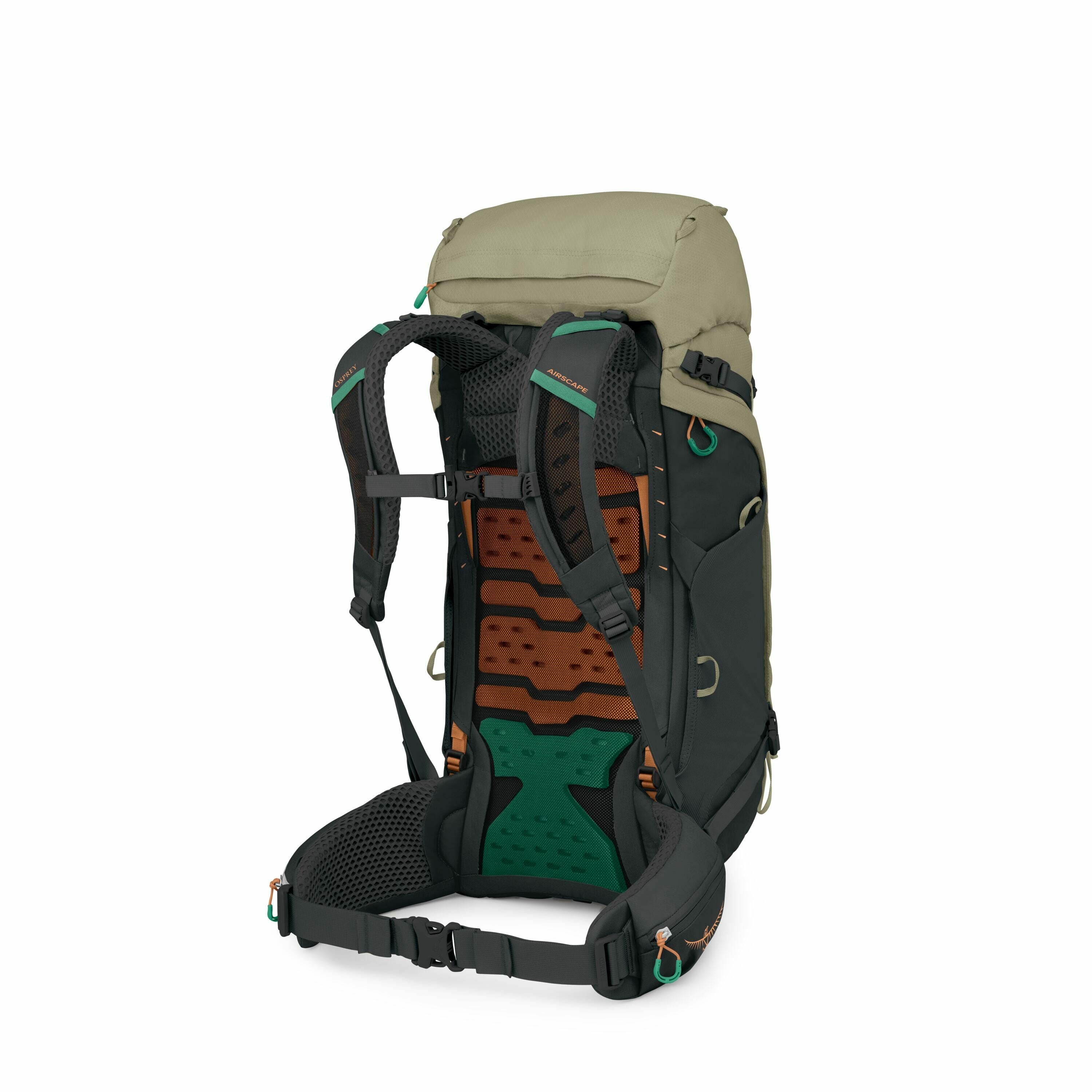 The image displays a backpack with an ergonomic design, seen from the back. The backpack features adjustable padded shoulder straps and a supportive waist belt, intended for comfort during long hikes or outdoor activities. The back panel is intricately de