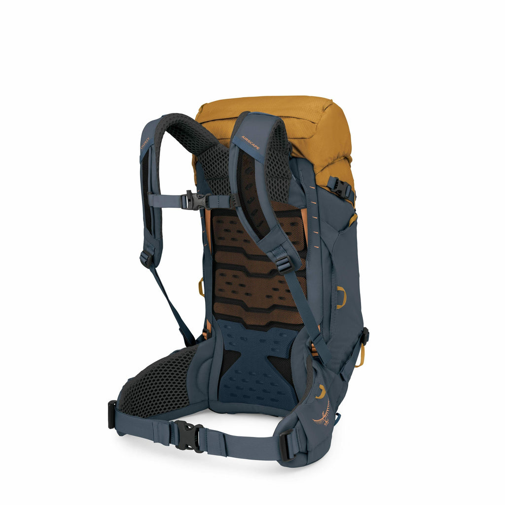 The image shows a backpack designed for hiking or trekking. It has a two-tone color scheme with the main body of the backpack being a muted blue and the top flap a mustard yellow. The backpack features a structured back panel with padded mesh sections to