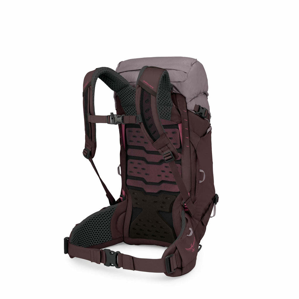 The image shows a detailed view of a backpack with its straps and back support system clearly visible. The backpack is predominantly dark purple with some gray tones and has accents of pink. The back panel features a geometric pattern with small perforati