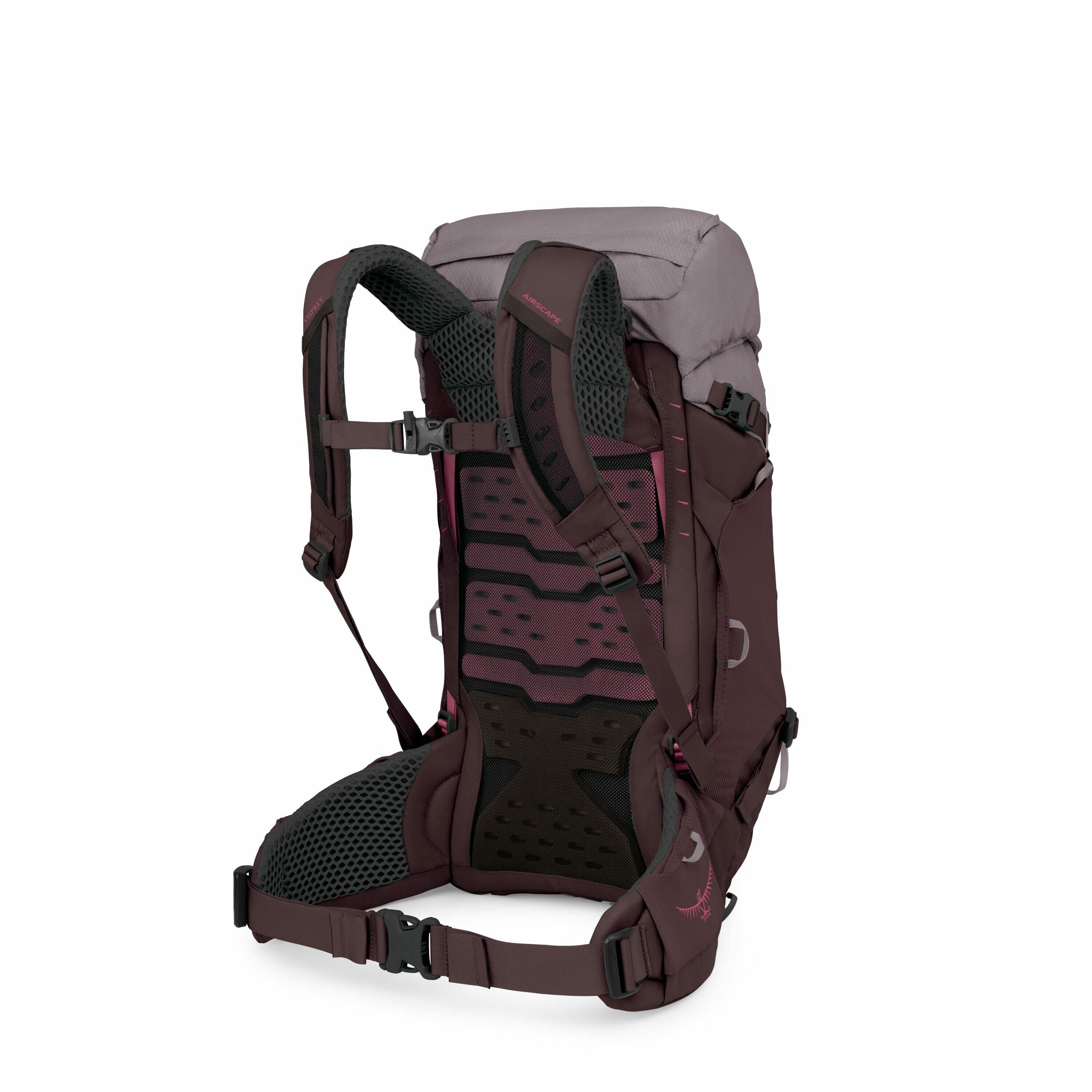 The image shows a detailed view of a backpack with its straps and back support system clearly visible. The backpack is predominantly dark purple with some gray tones and has accents of pink. The back panel features a geometric pattern with small perforati