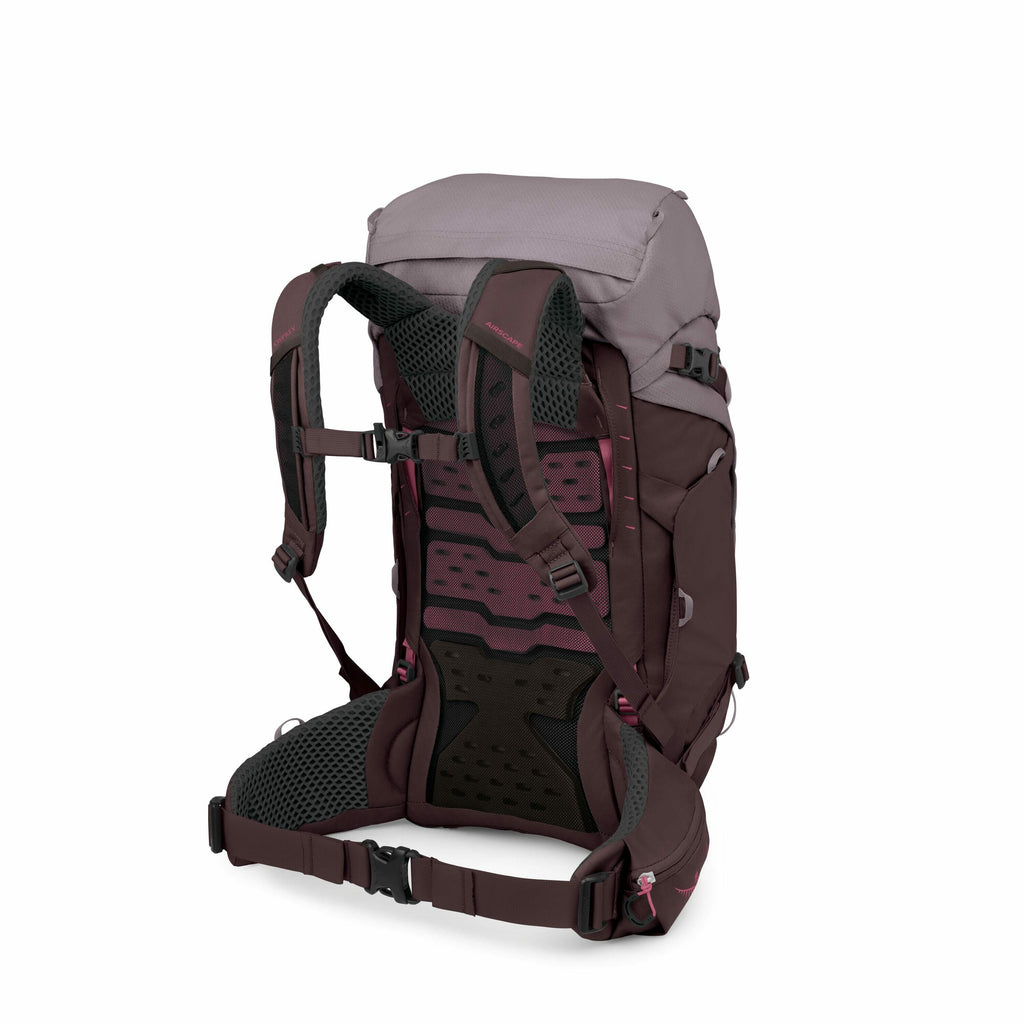 The image features a detailed view of a hiking backpack, designed with outdoor utility in mind. The backpack is primarily dark purple with light grey accents on the top flap, offering a modern and stylish appearance. It has various adjustable straps and a