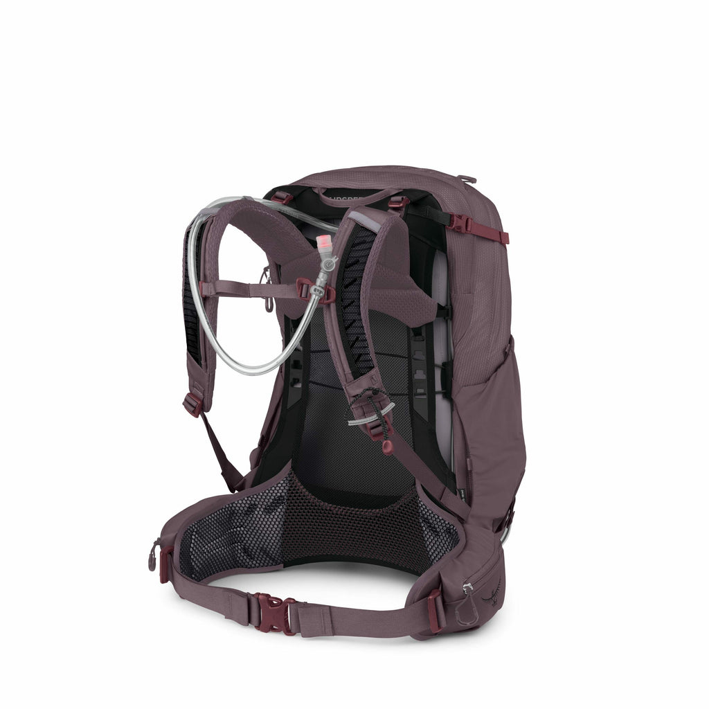 The image depicts a backpack designed for outdoor activities, likely hiking or cycling, as evidenced by its features tailored for active use. The backpack is primarily dark purple with black accents and includes a hydration system, visible by the transpar
