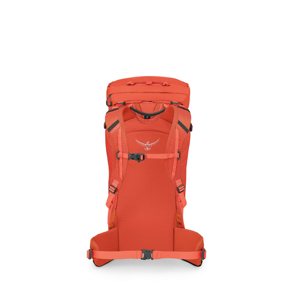 a back view of the Mutant 38 in color marsorange
