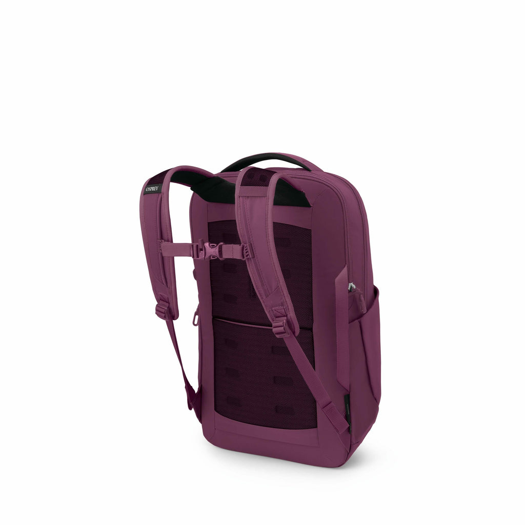 The image series depicts a backpack in various stages of disassembly. The backpack is a deep purple color, and it appears to be designed with ergonomic and adjustable features for comfort, such as padded shoulder straps and a chest buckle. The progression
