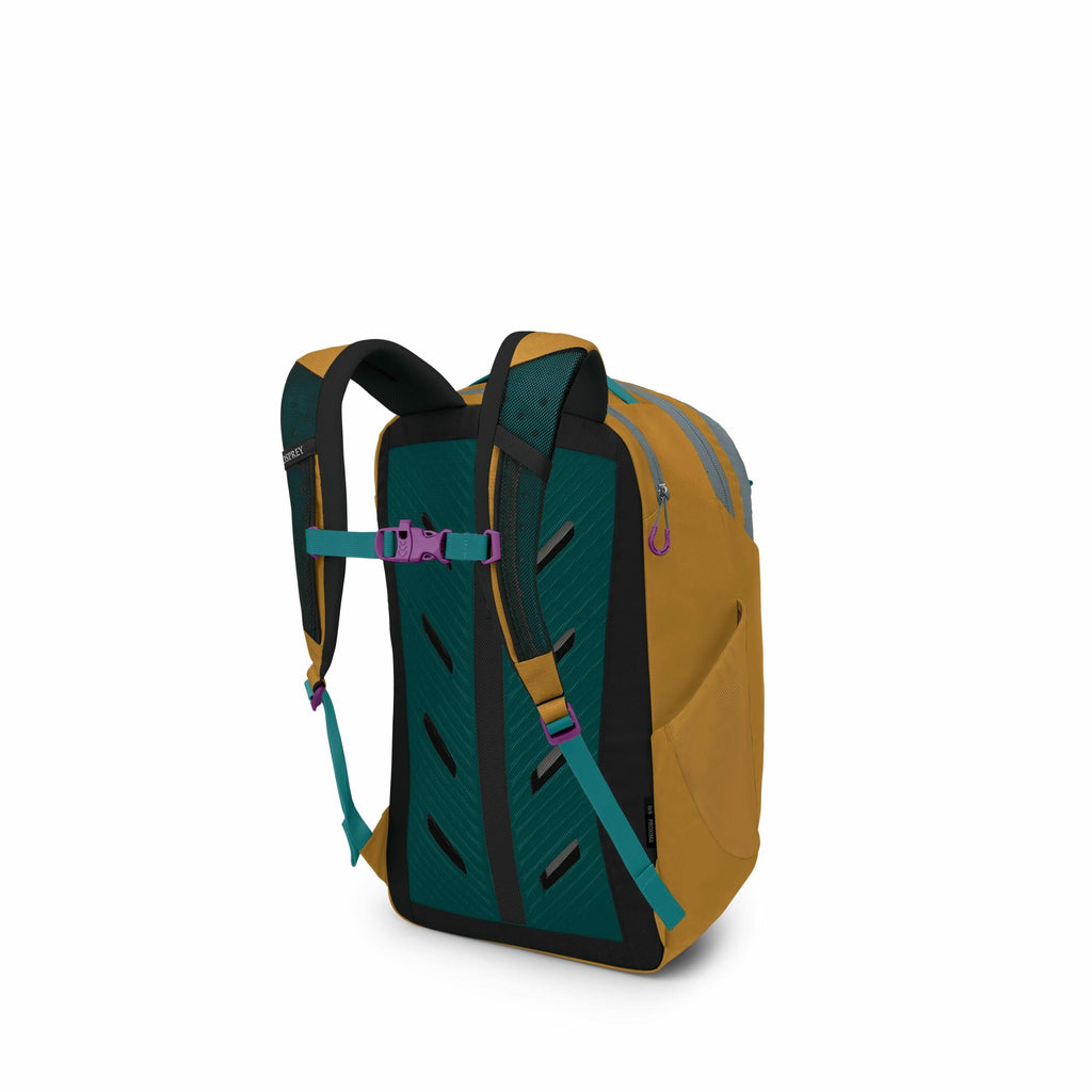 The image shows a backpack with a stylish and modern design. The backpack's main body is an earthy brown color, complemented by teal-colored shoulder straps and back padding. It features purple buckle clips and zipper pulls for additional detail, adding a