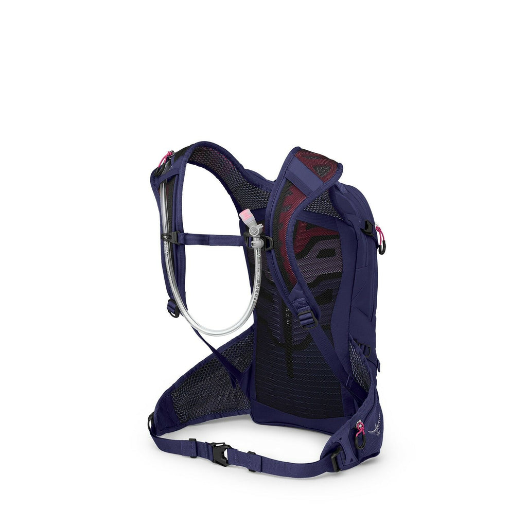 Raven 10