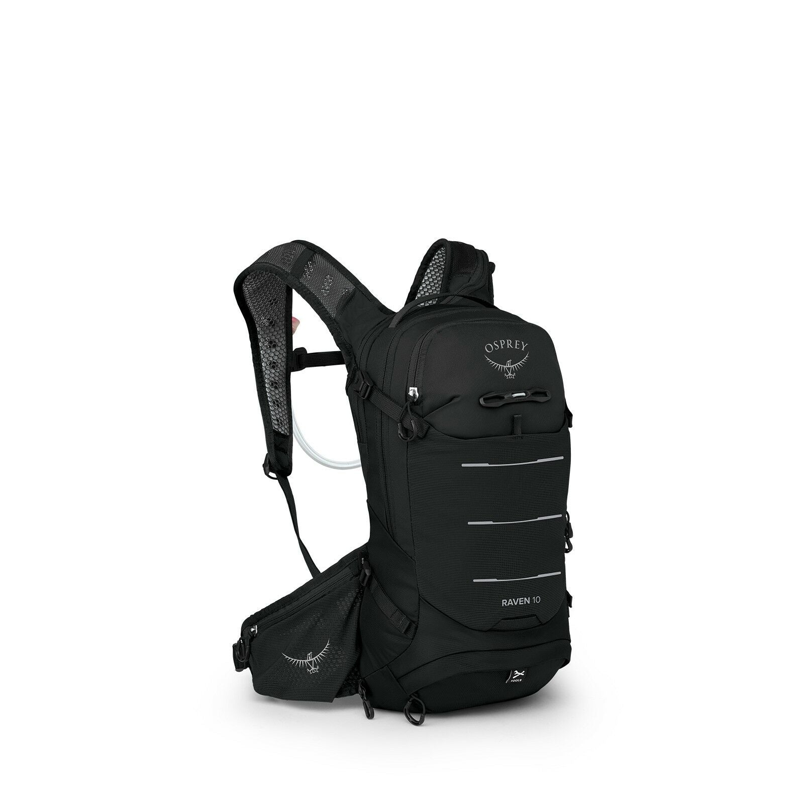 Raven 10