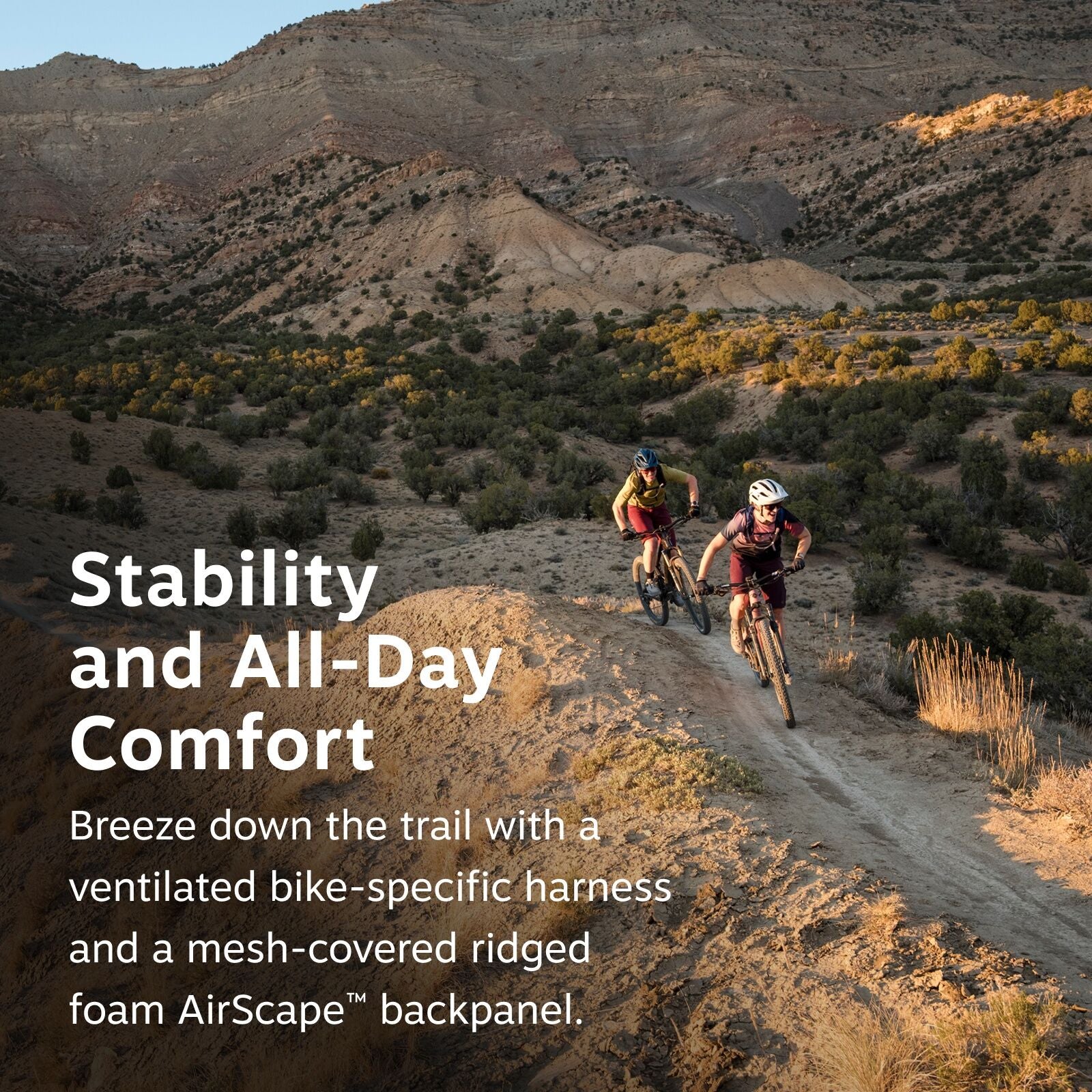 The image shows two cyclists riding mountain bikes on a rugged trail amidst a vast desert landscape. They are surrounded by arid terrain with scattered vegetation and rocky hills in the background. Both cyclists are wearing helmets and cycling gear, demon