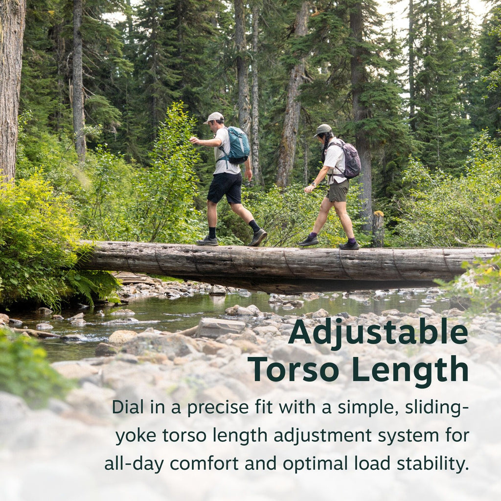 The image depicts two people hiking through a forest, crossing a stream on a large fallen log. They are both carrying backpacks, suggesting they are on a hiking or camping trip. The forest around them is lush and green, with tall trees and dense underbrus